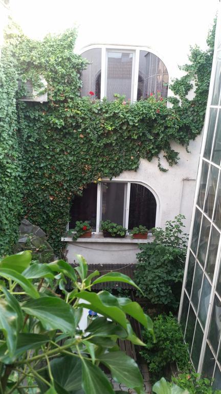 Vila Monica Bed and Breakfast Târgu-Mureş Buitenkant foto