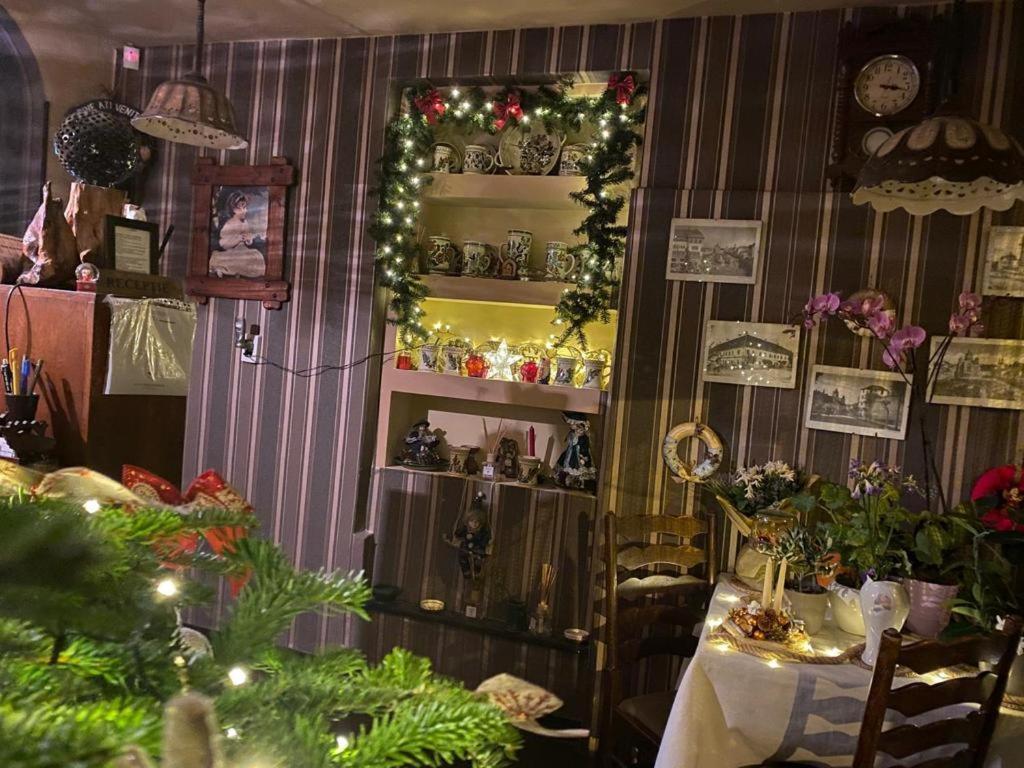 Vila Monica Bed and Breakfast Târgu-Mureş Buitenkant foto