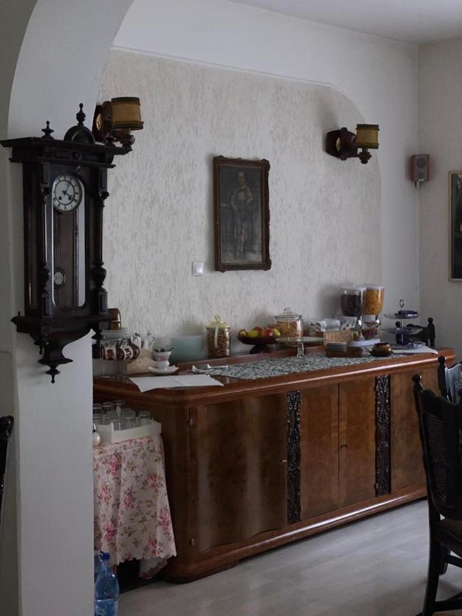 Vila Monica Bed and Breakfast Târgu-Mureş Buitenkant foto