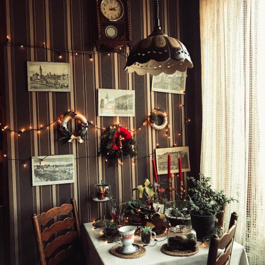 Vila Monica Bed and Breakfast Târgu-Mureş Buitenkant foto
