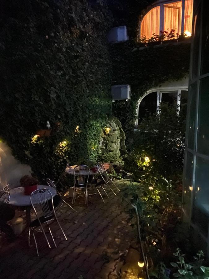 Vila Monica Bed and Breakfast Târgu-Mureş Buitenkant foto