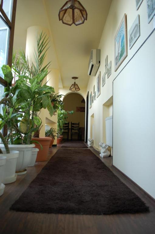 Vila Monica Bed and Breakfast Târgu-Mureş Buitenkant foto